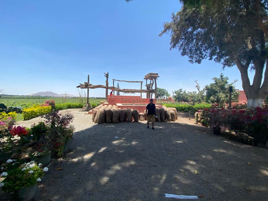 image n.3 of From Ica or Huacachina: Wine and Pisco Vineyards Tour activity in Ica, uploaded by supplier