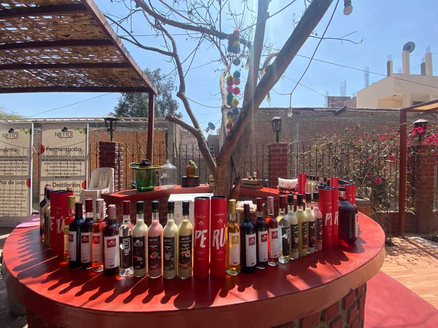 image n.9 of From Ica or Huacachina: Wine and Pisco Vineyards Tour activity in Ica, uploaded by supplier