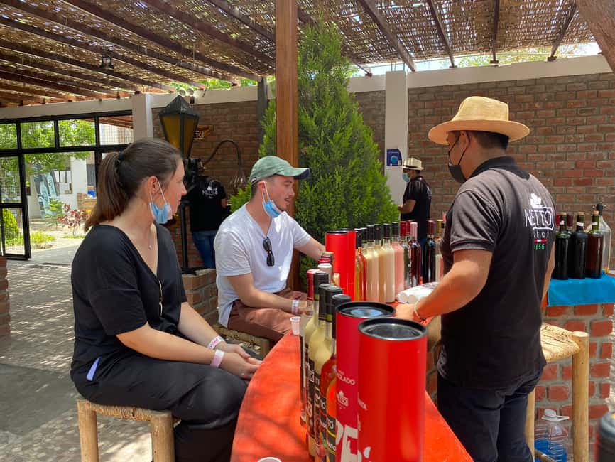 image n.12 of From Ica or Huacachina: Wine and Pisco Vineyards Tour activity in Ica, uploaded by supplier