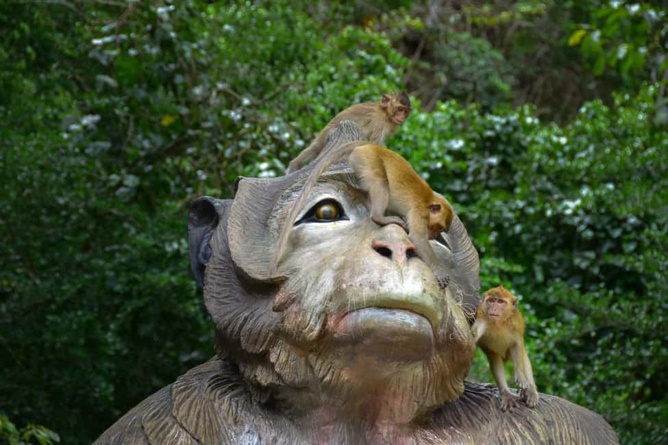 image n.23 of Khao Lak: Khao Sok Private Elephant Daycare & Bamboo Rafting activity in Khlong Sok, uploaded by supplier