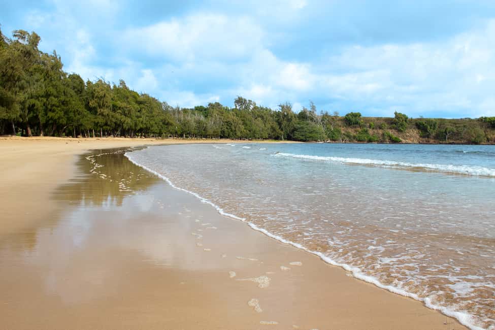 Image N°4 de Kauai : Visite des lieux de tournage activité à Kapaʻa, publiée par le prestataire