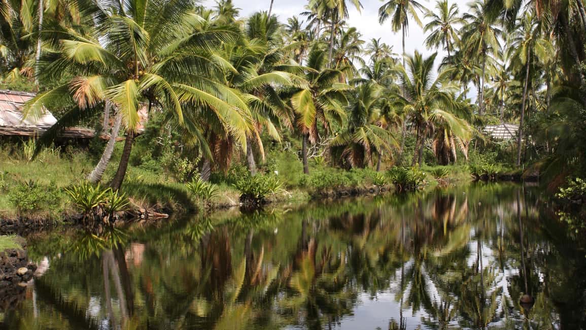 Image N°7 de Kauai : Visite des lieux de tournage activité à Kapaʻa, publiée par le prestataire
