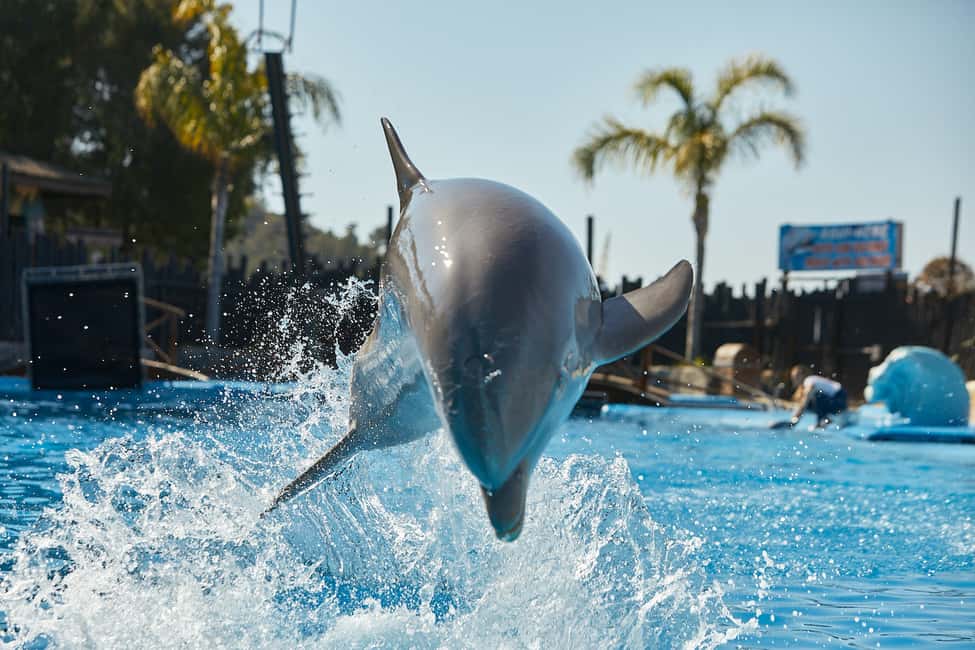 imagen n.º 1 de Benidorm: Ticket de entrada al Parque de Animales Mundomar actividad en Benidorm, subida por el proveedor