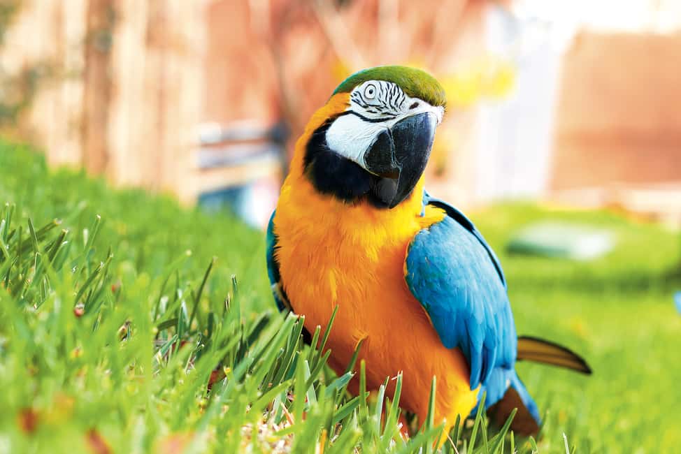 imagen n.º 3 de Benidorm: Ticket de entrada al Parque de Animales Mundomar actividad en Benidorm, subida por el proveedor