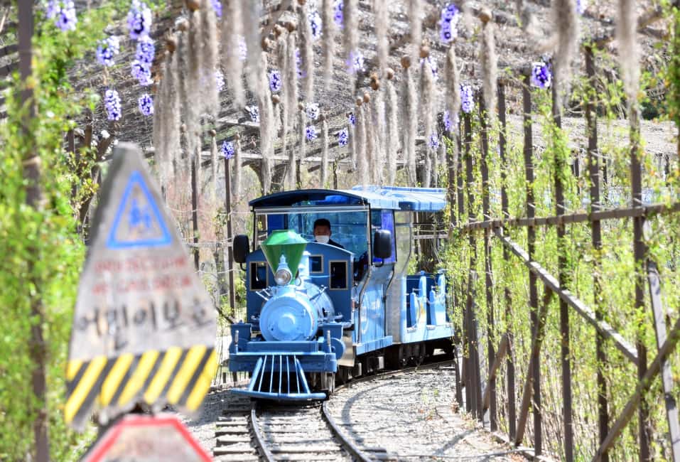 image n.12 of Seoul to/from Nami Island or Alpaca World: Shuttle Service activity in Seoul, uploaded by supplier
