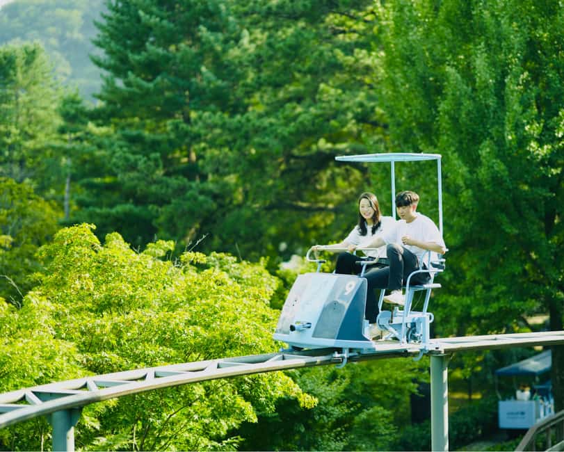 image n.11 of Seoul to/from Nami Island or Alpaca World: Shuttle Service activity in Seoul, uploaded by supplier