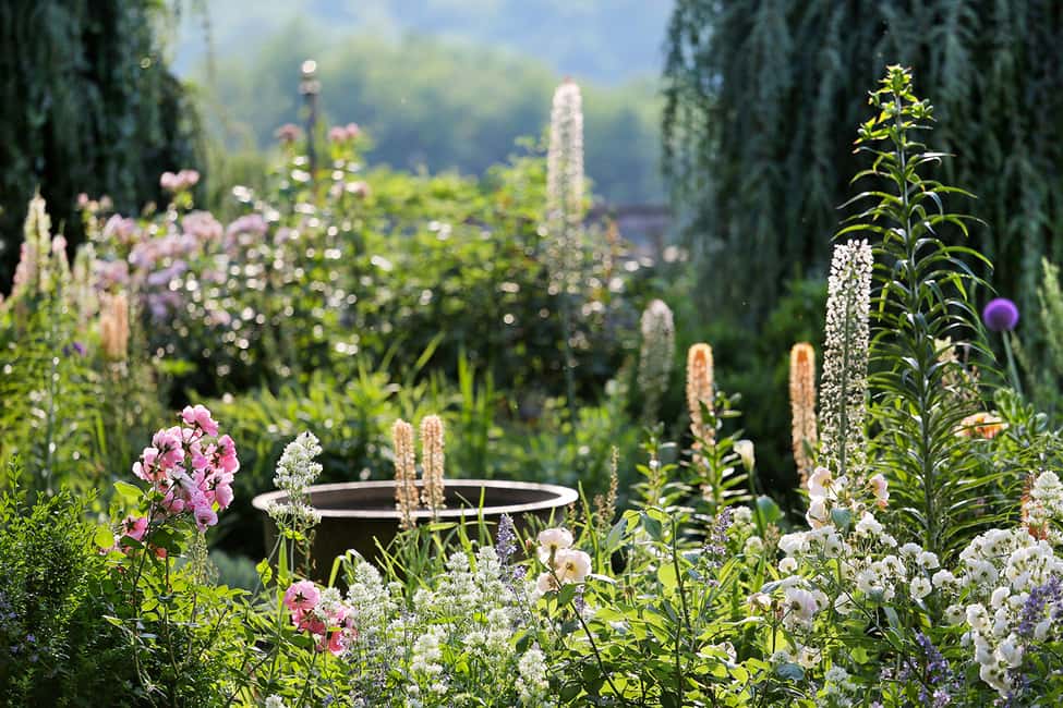 image n.3 of Salignac-Eyvigues: Gardens of Eyrignac Manor Entry Ticket activity in Nouvelle-Aquitaine, uploaded by supplier