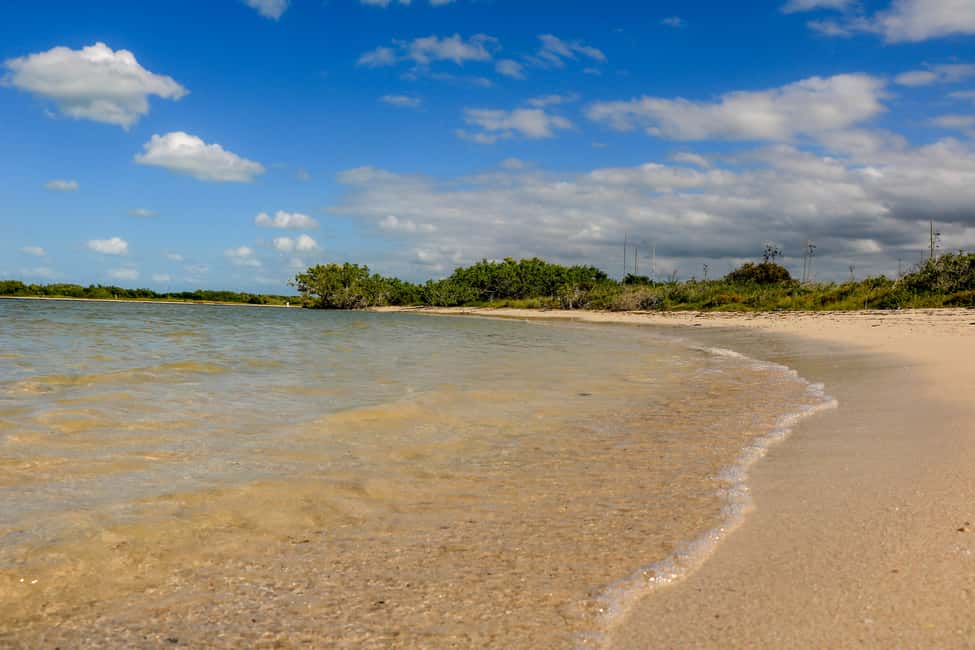 Image N°6 de Rio Lagartos : tour en bateau dans la réserve naturelle activité à Río Lagartos, publiée par le prestataire