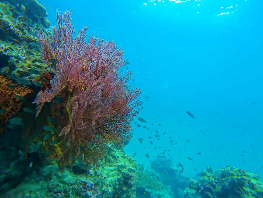 image n.7 of Phuket: Deluxe Phi Phi Tour by Speedboat & Lunch Buffet activity in Gulf of Thailand, uploaded by supplier