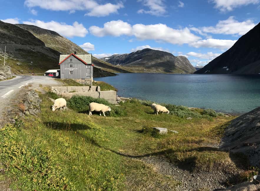 Immagine nº 4 di Geiranger: Dalsnibba, Flydalsjuvet, Eagle Bend e tour dei fiordi attività a Stranda, caricata dal fornitore
