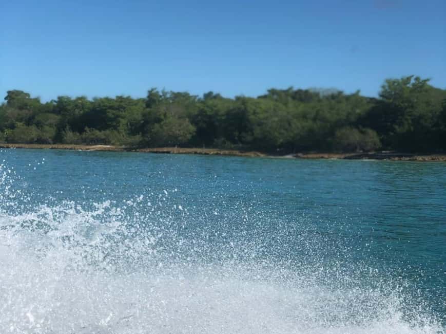 image n.7 of Saona Island: Beach & Natural Pool Small-Group Tour w/ Lunch activity in La Romana (Province), uploaded by supplier