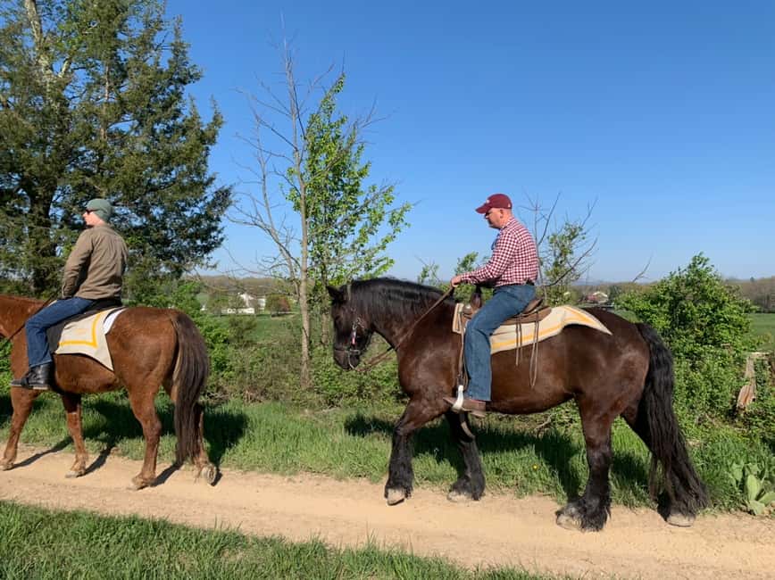 image n.6 of Gettysburg: Licensed Guided Battlefield Horseback Tour activity in Gettysburg, uploaded by supplier
