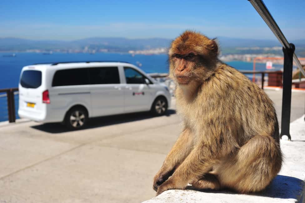 Immagine nº 1 di Gibilterra: Tour privato dei punti salienti con biglietti d'ingresso attività a Gibilterra, caricata dal fornitore