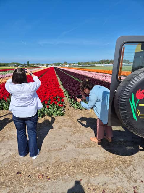 image n.8 of From Lisse: Landrover Tour Around Keukenhof & Flower Fields activity in Lisse, uploaded by supplier