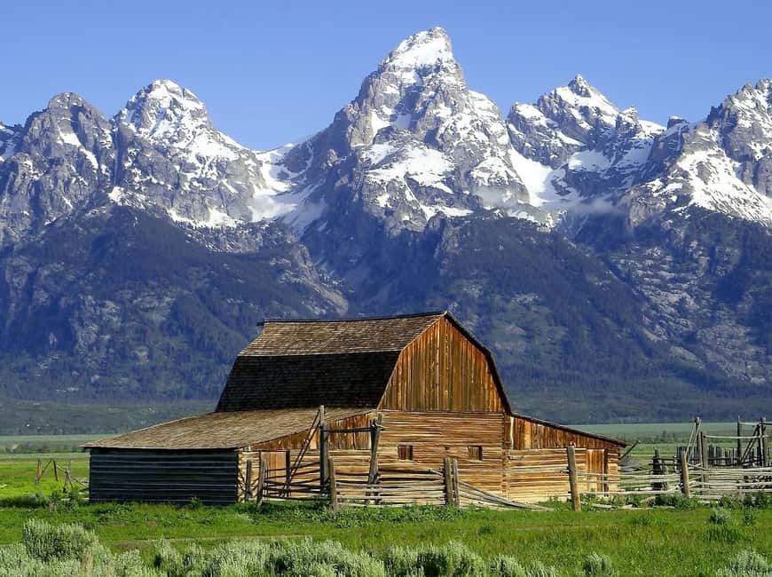 image n.1 of From Jackson: Half-Day Grand Teton National Park Tour activity in Jackson, Wyoming, uploaded by supplier