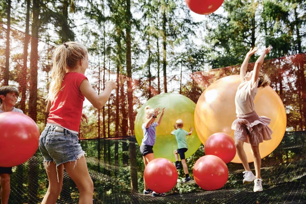 billede nr.6 af aktiviteten Skjern: WOW PARK Entrébillet i Skjern, uploadet af udbyder