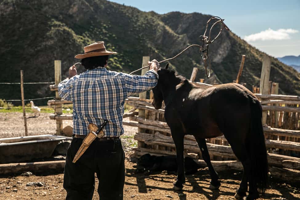 image n.5 of From Mendoza: Full Day Gaucho Experience activity in Mendoza, uploaded by supplier