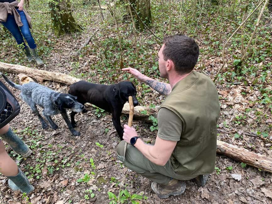 image n.3 of Livade: Guided Truffle Hunting Walking Tour activity in Porec, uploaded by supplier