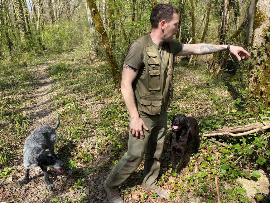image n.5 of Livade: Guided Truffle Hunting Walking Tour activity in Porec, uploaded by supplier
