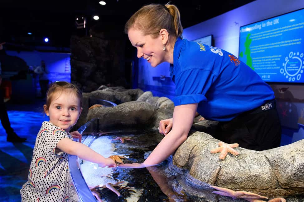 image n.13 of London: 5 Top Attractions Pass with Madame Tussauds activity in London, uploaded by supplier