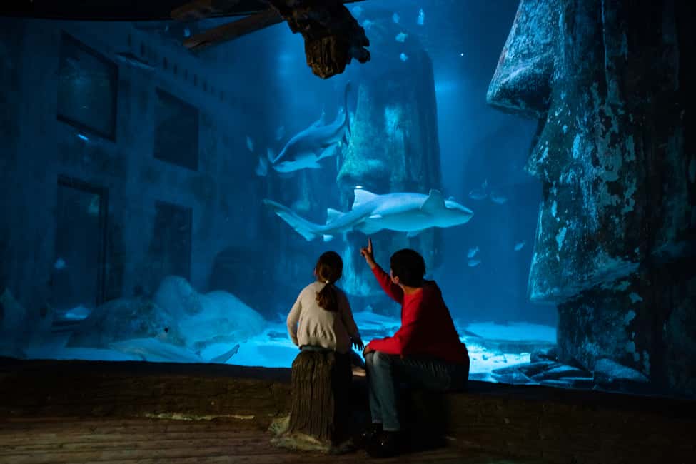 image n.14 of London: 5 Top Attractions Pass with Madame Tussauds activity in London, uploaded by supplier
