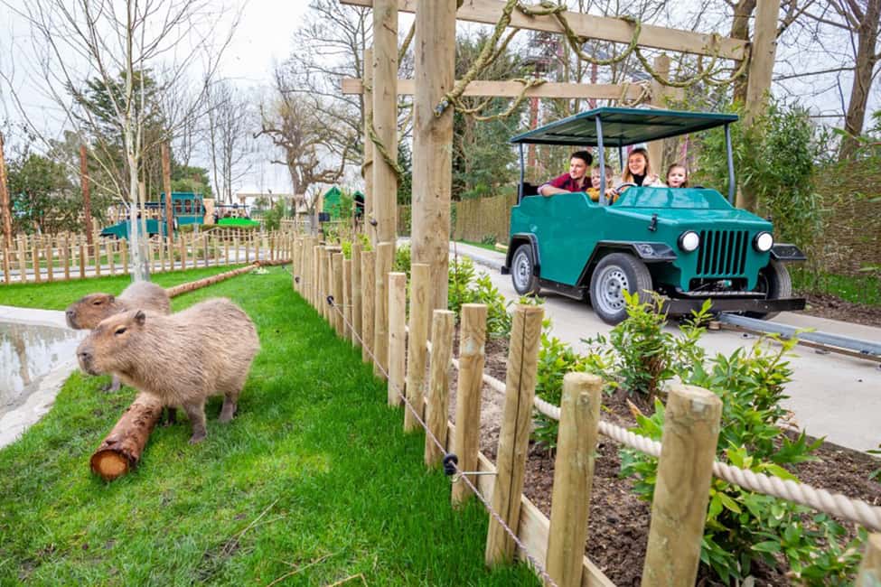 image n.3 of Chessington World of Adventures Resort: Entrance Ticket activity in London, uploaded by supplier