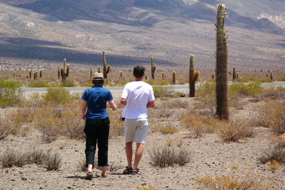 imagem n.12 de De Salta: viagem guiada de 2 dias a Cachi e Salinas Grandes atividade em Província de Salta, carregada pelo fornecedor