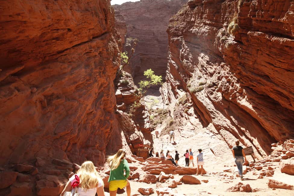 image n.3 of From Salta: Cafayate and Hornocal 2-Day Tour with Transfer activity in Salta Province, uploaded by supplier