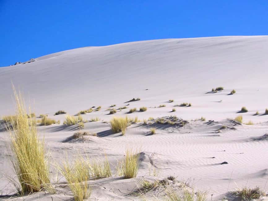 image n.8 of From Salta: Cafayate and Hornocal 2-Day Tour with Transfer activity in Salta Province, uploaded by supplier