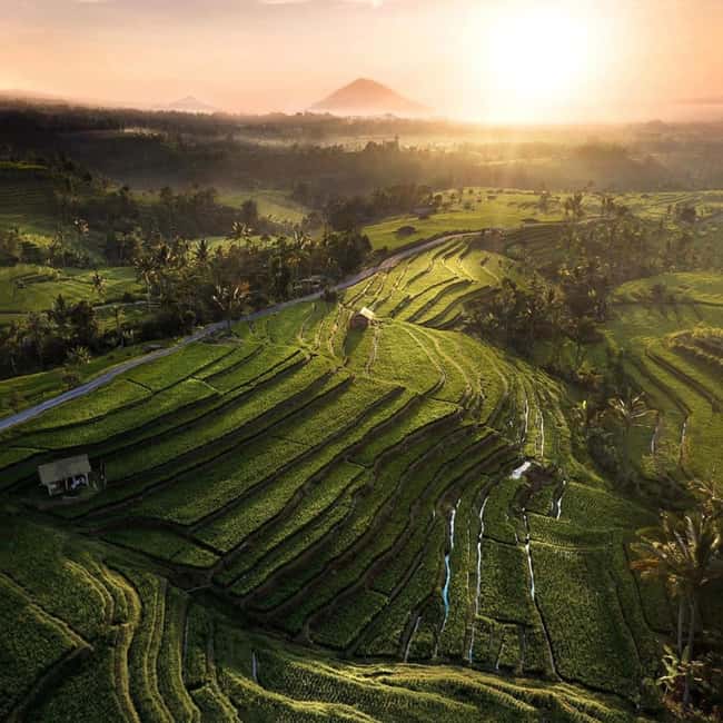 image n.12 of Tanah Lot-Nung Nung Waterfall-Jatiluwih and Bedugul activity in Tabanan, uploaded by supplier