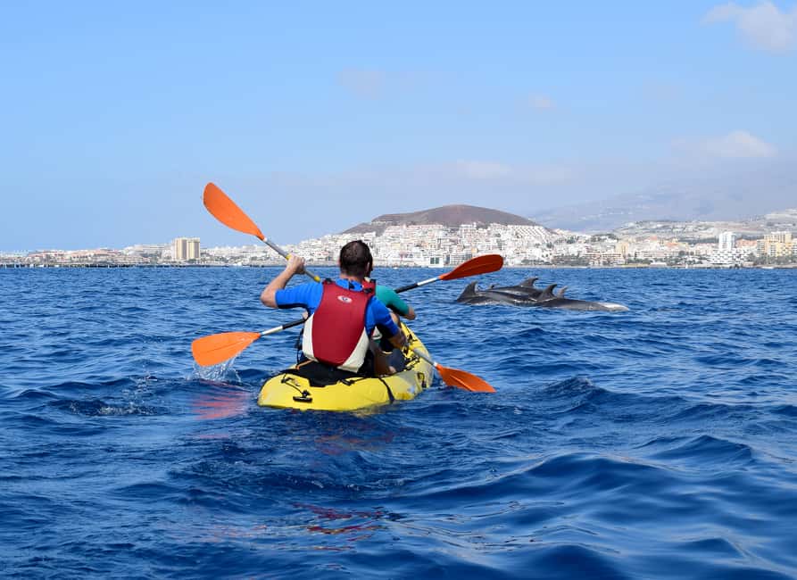image n.4 of Tenerife: Kayak and Snorkel with Turtles with Free Videos activity in Los Cristianos, uploaded by supplier