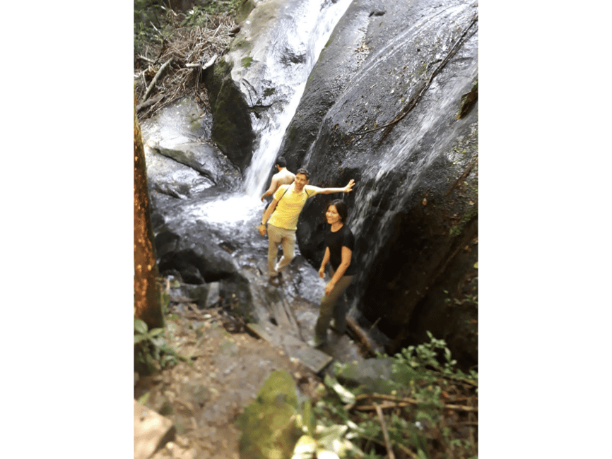 image n.9 of Walk to the Big Rock in Cantareira State Park activity in São Paulo, uploaded by supplier