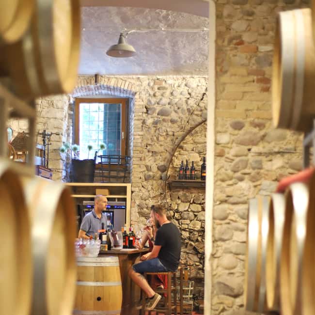 image n.5 of Lazise: Historical Center Wine Tasting Tour activity in Lombardy, uploaded by supplier