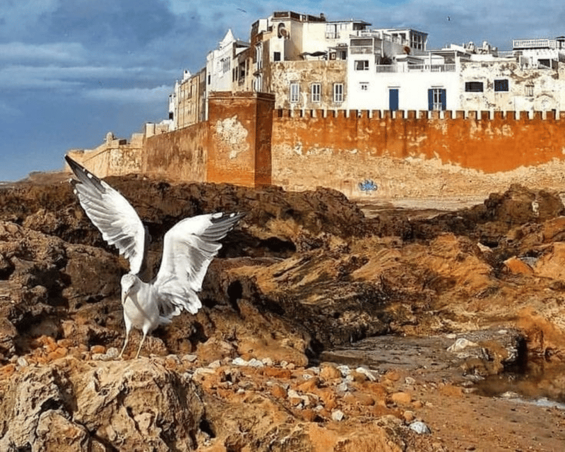 Immagine nº 5 di Da Marrakech: Escursione di una giornata intera a Essaouira attività a Essaouira, caricata dal fornitore