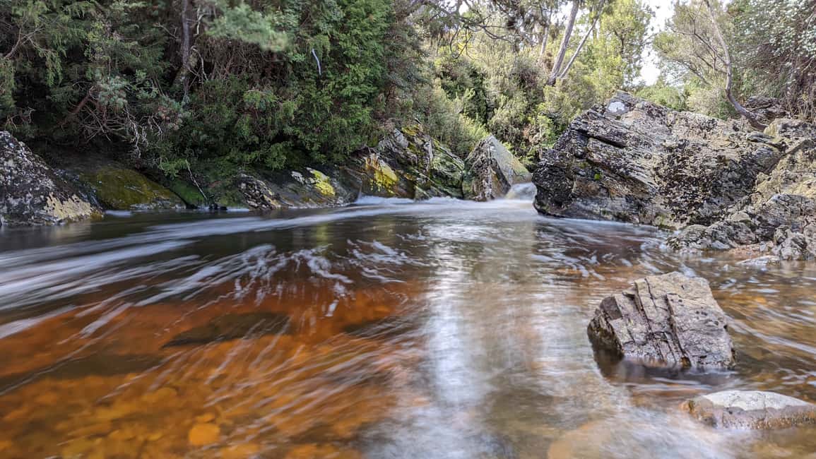 image n.7 of Tasmania: 7-Day West to East Tour activity in Tasmania, uploaded by supplier