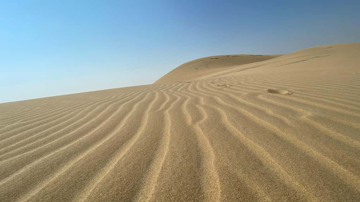image n.14 of Desert Safari, QuadBike,Dune buggy, Sandboarding & CamelRide activity in Qatar, uploaded by supplier