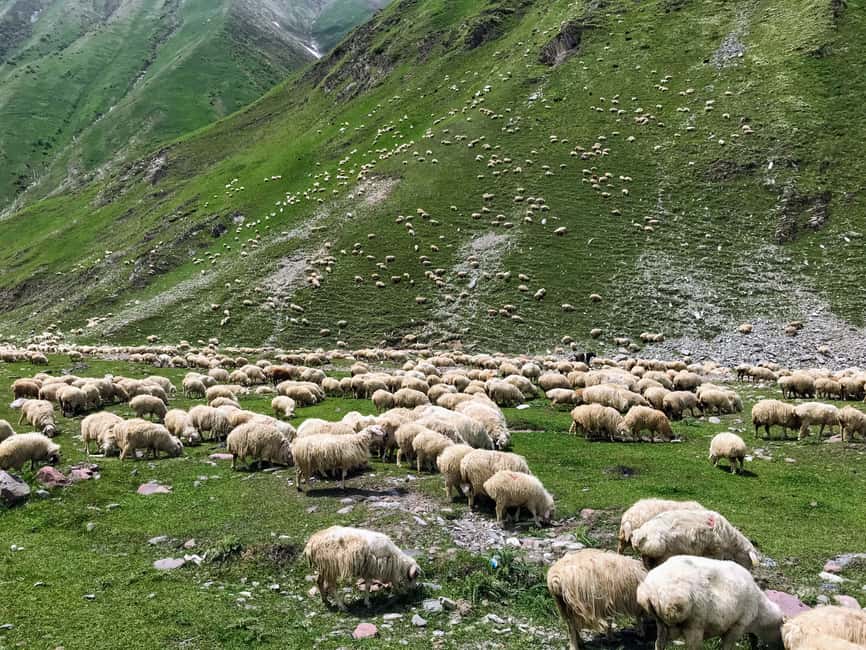 image n.6 of Tbilisi: Kazbegi Gudauri Ananuri and Truso Adventure by 4x4 activity in Stepantsminda, uploaded by supplier