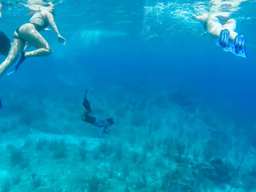 image n.20 of Cozumel: West Coast E-Bike and Snorkeling Tour activity in Quintana Roo, uploaded by supplier