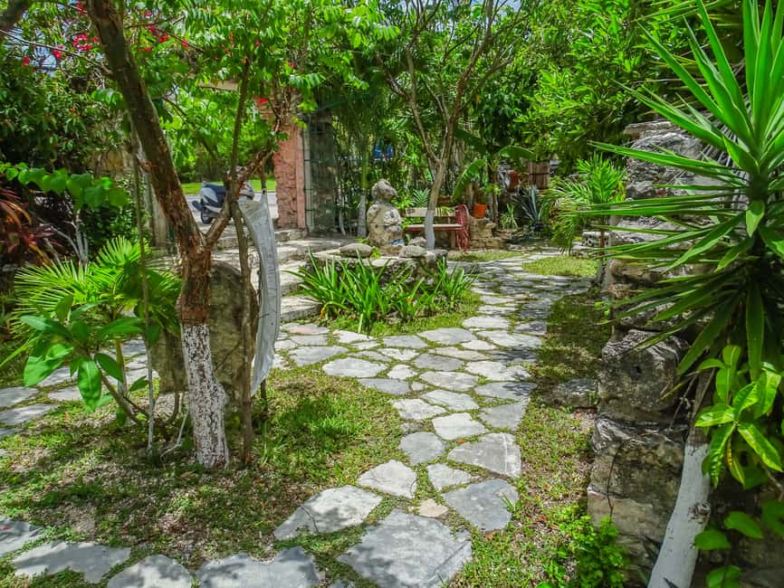 image n.29 of Cozumel: West Coast E-Bike and Snorkeling Tour activity in Quintana Roo, uploaded by supplier