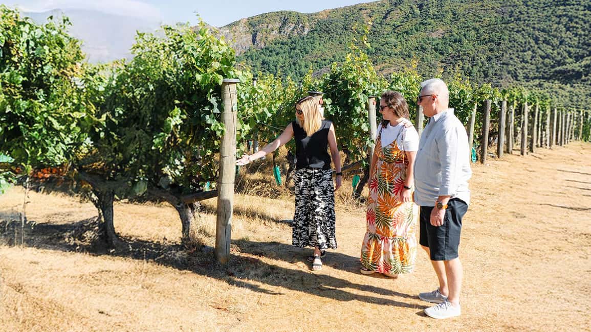 image n.9 of Boutique Winery Half-Day Tour & Vineyard Platter-Style Lunch activity in Bannockburn, uploaded by supplier