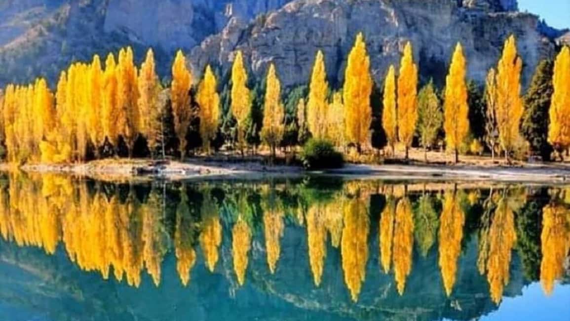 imagem n.2 de Bariloche: 7 Lagos & San Martin de Los Andes Road Trip atividade em Neuquen, carregada pelo fornecedor