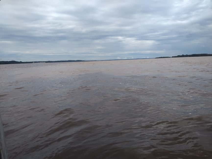imagen n.º 2 de Desde Manaus: Excursión de 2 días a la Selva Amazónica y al Lago de Ipanema actividad en Manaos, subida por el proveedor