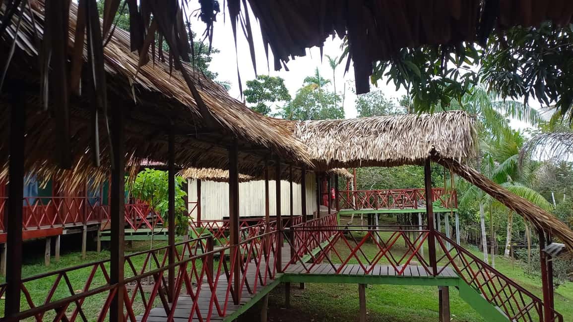 imagen n.º 3 de Desde Manaus: Excursión de 2 días a la Selva Amazónica y al Lago de Ipanema actividad en Manaos, subida por el proveedor