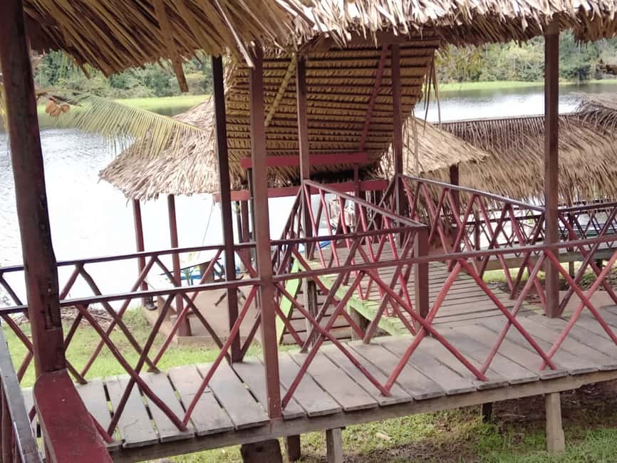 imagen n.º 4 de Desde Manaus: Excursión de 2 días a la Selva Amazónica y al Lago de Ipanema actividad en Manaos, subida por el proveedor