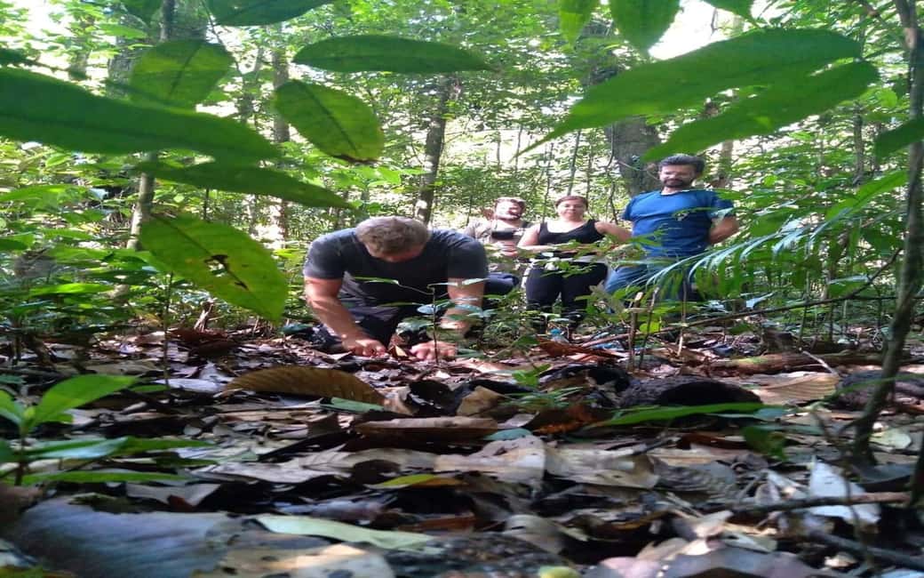 imagen n.º 6 de Desde Manaus: Excursión de 2 días a la Selva Amazónica y al Lago de Ipanema actividad en Manaos, subida por el proveedor