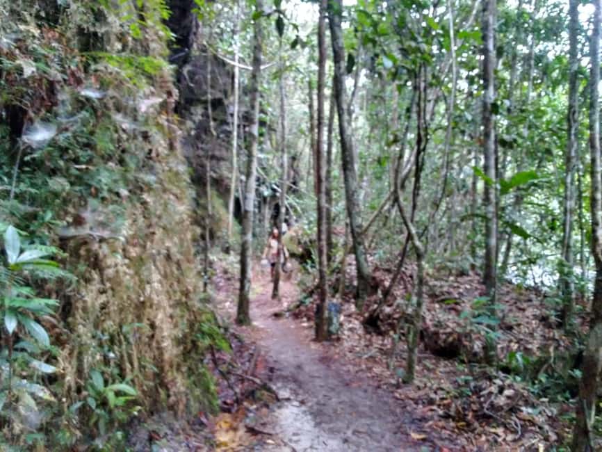 imagen n.º 7 de Desde Manaus: Excursión de 2 días a la Selva Amazónica y al Lago de Ipanema actividad en Manaos, subida por el proveedor