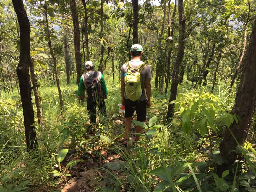 image n.12 of From Chiang Mai: High Mountain Day Trek activity in Chiang Mai Province, uploaded by supplier