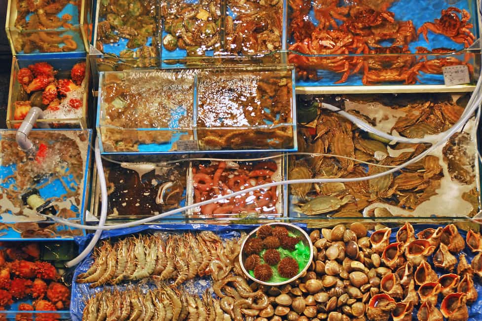 image n.10 of Seoul: The Biggest Sea-food Noryangjin Market Food Tour activity in Seoul, uploaded by supplier