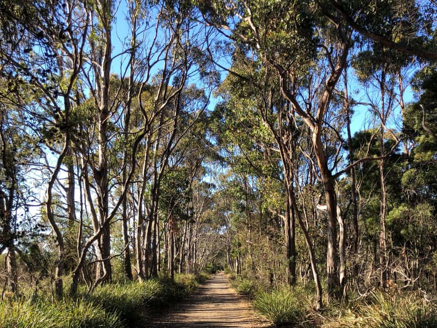 image n.4 of From Hobart: Bruny Island Adventure - Active Day Tour activity in Tasmania, uploaded by supplier