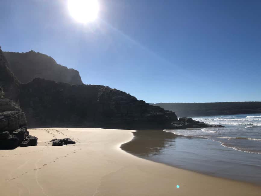 image n.11 of From Hobart: Bruny Island Adventure - Active Day Tour activity in Tasmania, uploaded by supplier